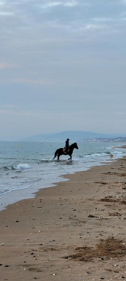Villers Plage 1 Bagian luar foto